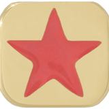 THE ENAMEL STAR CHARM