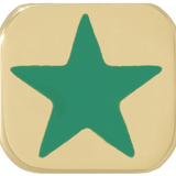 THE ENAMEL STAR CHARM