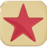 THE ENAMEL STAR CHARM