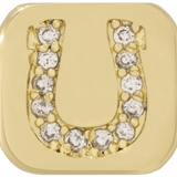 THE HORSESHOE CHARM