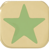 THE ENAMEL STAR CHARM