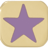 THE ENAMEL STAR CHARM