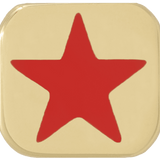 THE ENAMEL STAR CHARM
