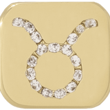 THE ZODIAC CHARM
