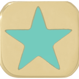 THE ENAMEL STAR CHARM