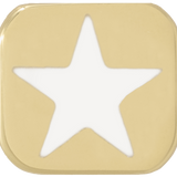 THE ENAMEL STAR CHARM