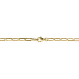 THE SMALL PAPERCLIP CHAIN