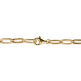 THE LARGE PAPERCLIP CHAIN